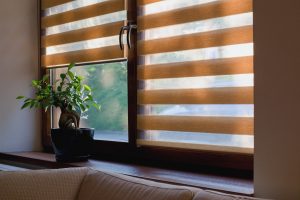 Image of plant and window with blinds